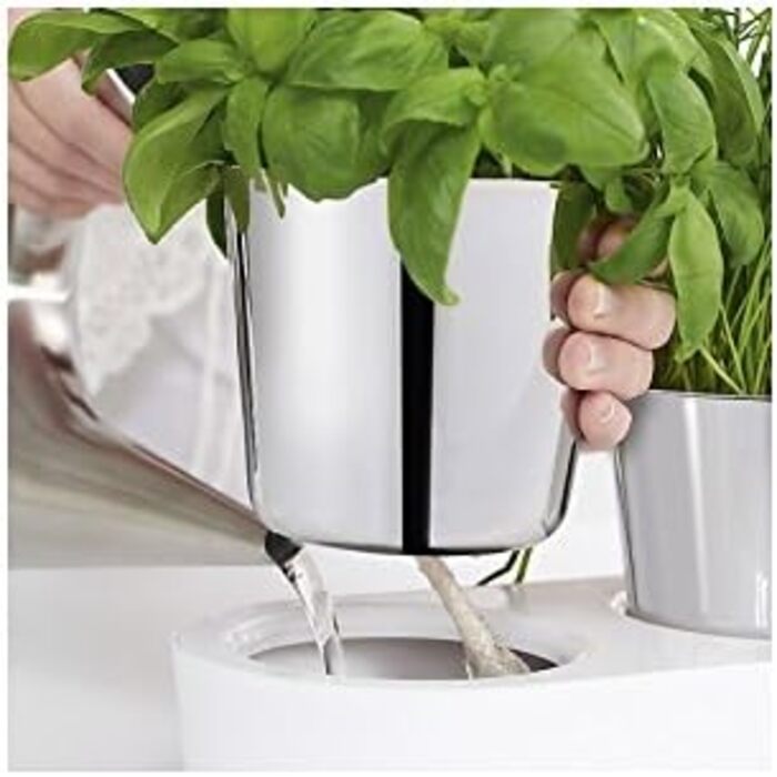 Квітник для кухні WMF Gourmet з системою поливу, 36x12,5x12,5 см, білий, для свіжих трав