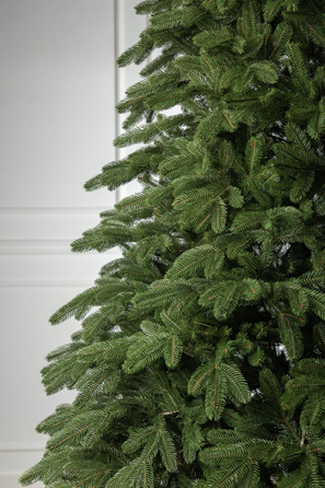 Ялинка лита 'Лапландська' ПАРАСОЛЬКА ЗЕЛЕНА 1,50м