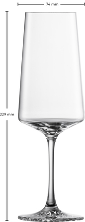 Келих для шампанського, набір із 4 предметів, Echo Zwiesel Glas