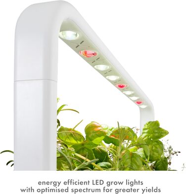 Click and Grow Indoor Garten: Розумний сад для вирощування зелені вдома з LED, 9 капсул (Темно-сірий)
