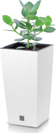 Каструля для приготування їжі Zeit 35 літрів з кришкою, 28,7 x 28,7 x 55 см, біла