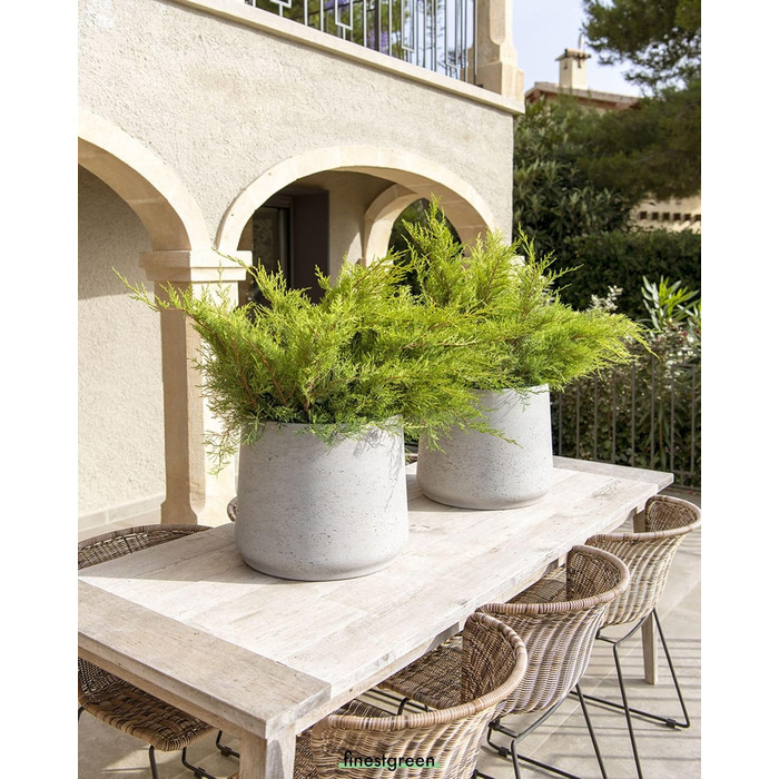 Вазон Patt Pflanzgefäß Grau L: бетонний вазон для дому та саду, сірий, морозостійкий, UV-стійкий, Ø34 см, 28.6x28.5 см