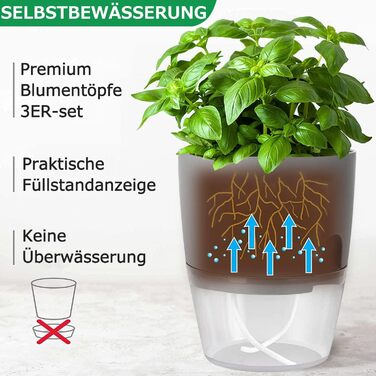 Набір горщиків для трав на кухню, самополив, 3 шт. (18.2x11x15.3 см), сірий
