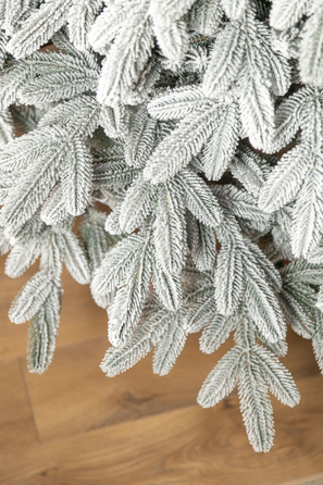 Ялинка лита 'Лапландська' ЗАСНІЖЕНА 2,50м