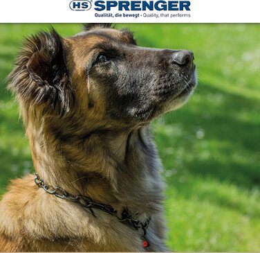 Нашийник для собак Sprenger з наскрізним ланцюгом 3 мм i нашийник з нержавіючої сталі для короткошерстих і довгошерстих порід собак вагою до 55 кг, 45 см, чорний 45 см
