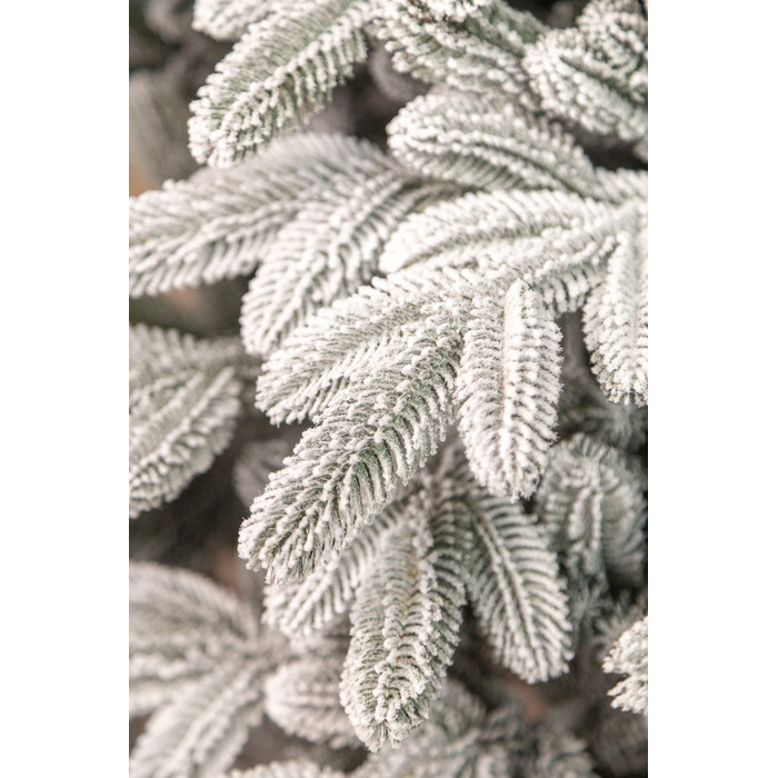 Ялинка лита 'Лапландська' ЗАСНІЖЕНА 2,50м