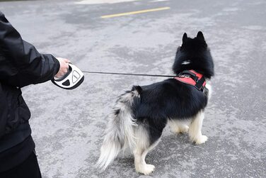 Висувний повідець для собак з ліхтариком, висувний повідець для собак, 360 , без заплутування, 5 м, для нічних прогулянок, бігу, для собак середнього і великого розміру вагою до 50 кг (л, білий), білий