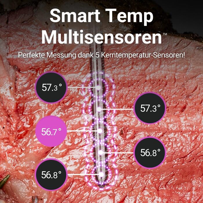 Термометр для м'яса термостійкий до 550 С М'ясник
