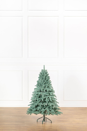 Ялинка лита 'Лапландська' ПАРАСОЛЬКА БЛАКИТНА 1,50м