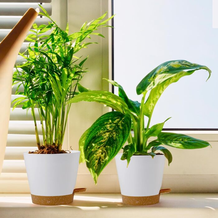 Набір горщиків для квітів 6 шт. з автополивом, чорний (білий+коричневий), 20.3-12.7 см. Ідеально для дому та балкону