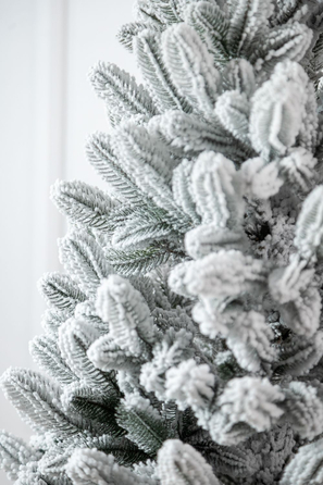 Ялинка лита 'Лапландська' в горщику ЗАСНІЖЕНА 0,70м