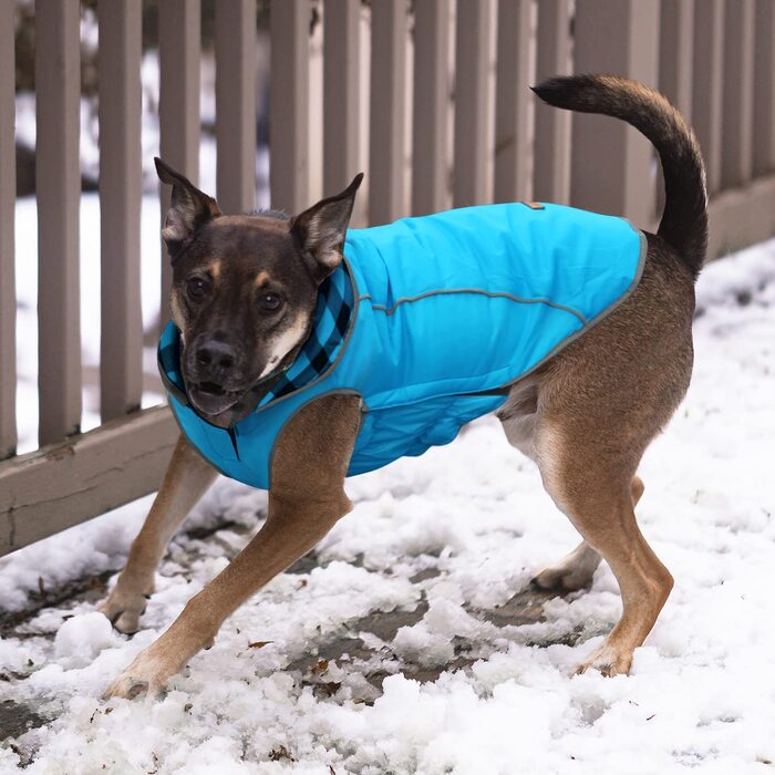 Класичне зимове пальто в клітку для собак, світловідбиваючий теплий вітрозахисний жилет для собак, зимова куртка для домашніх тварин з бавовняною підкладкою, Одяг для домашніх тварин для холодної погоди, L (XXL (окружність грудей 78-95 см, спинка 61 см), 