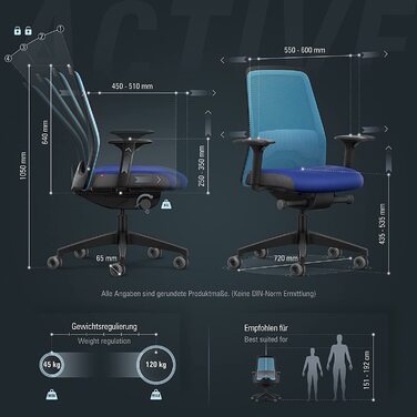 Офісне крісло Interstuhl Every Active Edition – регульована поперекова підтримка, комфортне та активне сидіння (Зелений | Чорний) (Світло-блакитний | Блакитний)