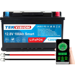 Акумулятор Tekvision LiFePO4 24V 100Ah з BMS для автофургону, човна, сонячної системи (12V 100Ah H7)