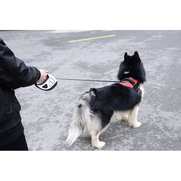 Висувний повідець для собак з ліхтариком, висувний повідець для собак, 360 , без заплутування, 5 м, для нічних прогулянок, бігу, для собак середнього і великого розміру вагою до 50 кг (л, білий), білий