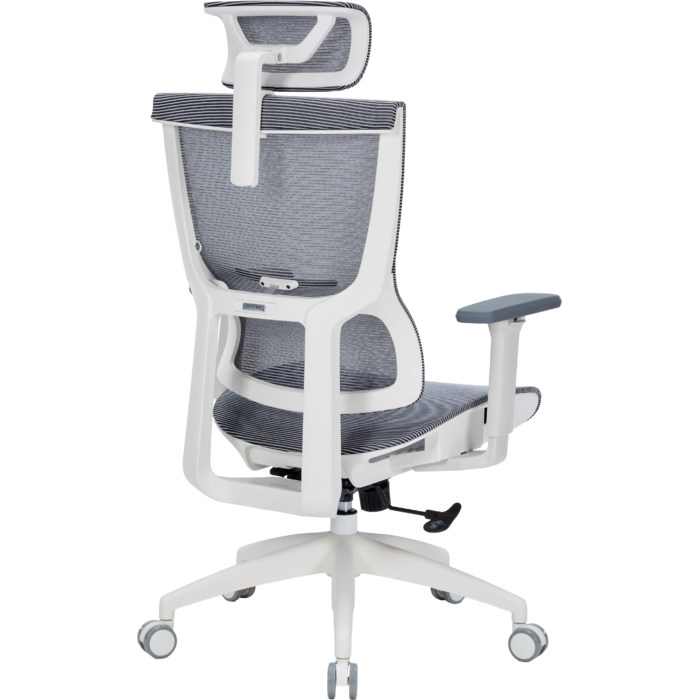 Крісло офісне OfficePro Elegant OC660-W-DG-DG