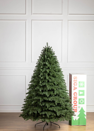 Ялинка лита 'Версальська' Зелена 2,50м