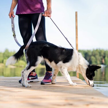 Повідець для собак Beddog віллі, регульований на 3 довжини, подвійний повідець, повідець для вигулу, повідець для вигулу, поводок для собак середнього і великого розміру, загальна довжина 2 м- (2 м/25 мм, сірий)