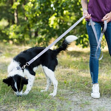 Повідець для собак Beddog Емма, регульований на 3 довжини, подвійний повідець, повідець для вигулу, повідець для вигулу, поводок для собак середнього і великого розміру, загальна довжина 2 м- (2 м/25 мм, сірий)