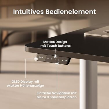 Ergotopia Desktopia One – Регульований стіл, електричний, з подвійним мотором, TÜV-сертифікований, 7 років гарантії (платиновий сірий)