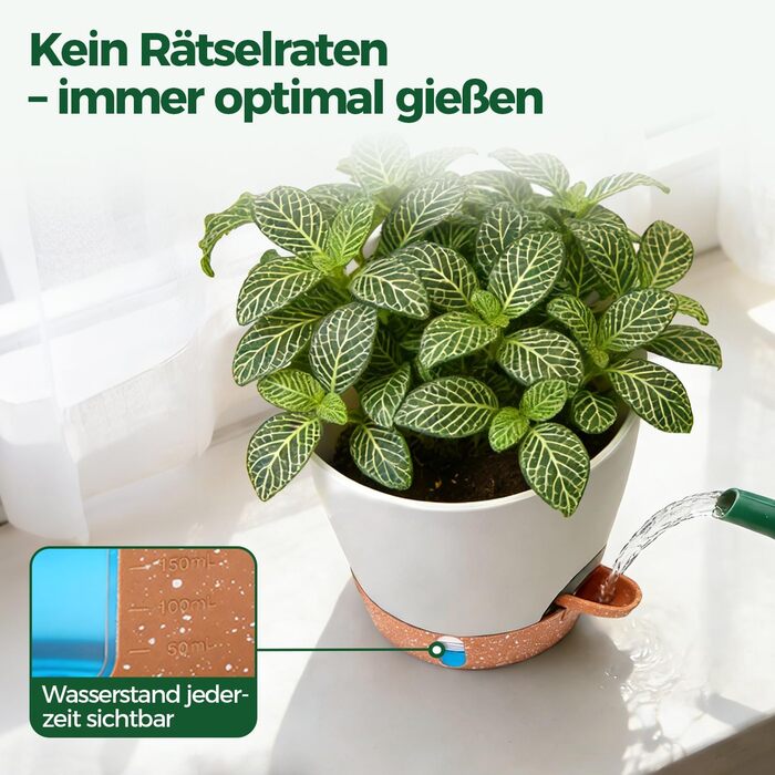 Набір з 4 самополивних горщиків для квітів T4U з індикатором рівня води, легкий у догляді, великий розмір (15 см, білий)