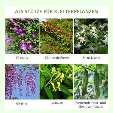 Набір з 2 шт. сітчастої опори для ліан зі сталі, нержавіюча, висота 181 см, ширина 50 см, чорного кольору