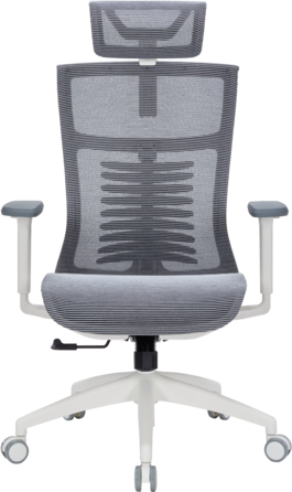 Крісло офісне OfficePro Balance OC620-W-DG-DG