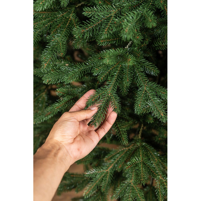 Ялинка лита 'Альпійська' ПАРАСОЛЬКА ЗЕЛЕНА 1,80м