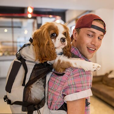 Рюкзак для собак Galate, Регульований рюкзак для собак для маленьких і маленьких собак, зручний для перенесення, рюкзак для домашніх тварин для прогулянок на свіжому повітрі, піших прогулянок, альпінізму ,подорожей (L, сірий)