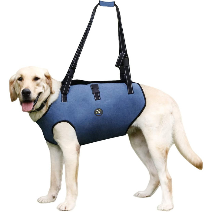 Шлейка для собак Coodeo реабілітаційна XL синя