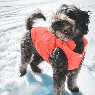 Зимова куртка PETCUTE Dog Coat з отвором для ременя, тепла та вітрозахисна, 2XL помаранчева для всіх розмірів собак