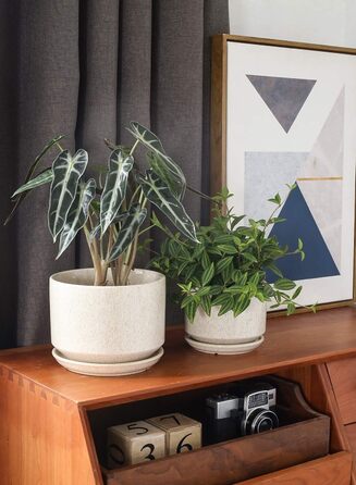 3 шт. керамічні горщики для квітів LE TAUCI, діаметр 11+13+17 см, з підставкою та дренажним отвором, для кімнатних рослин, бежевий, реактивна глазур