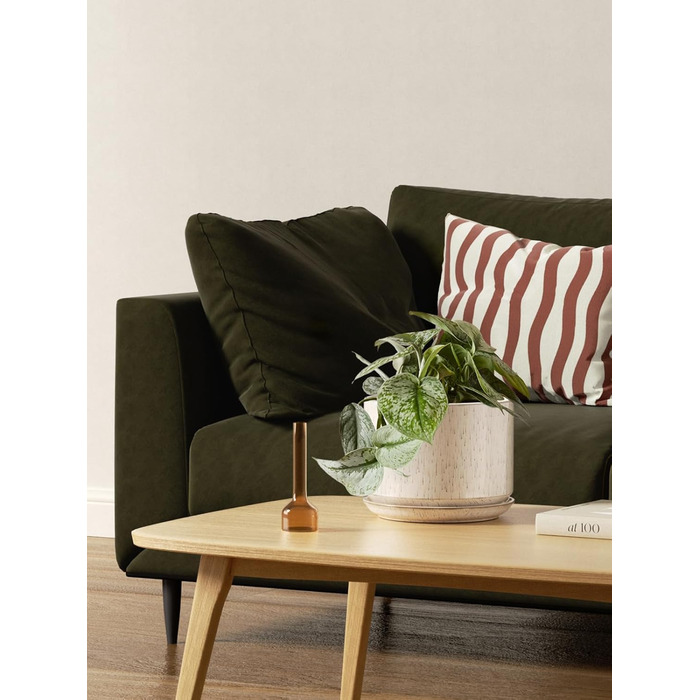 3 шт. керамічні горщики для квітів LE TAUCI, діаметр 11+13+17 см, з підставкою та дренажним отвором, для кімнатних рослин, бежевий, реактивна глазур