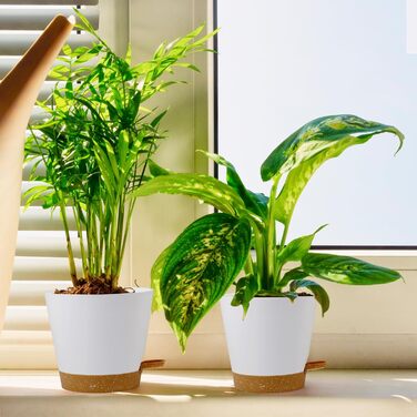 Набір горщиків для квітів 6 шт. з автополивом, чорний (білий+коричневий), 20.3-12.7 см. Ідеально для дому та балкону