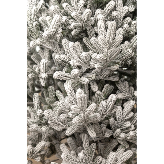 Ялинка лита 'Віденська' ЗАСНІЖЕНА 2,30м