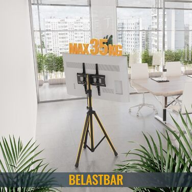 Підставка для телевізора RICOO TV Boden-Ständer Höhenverstellbar Neigbar 32-55 дюймів, тринога, VESA 200x200, до 35 кг