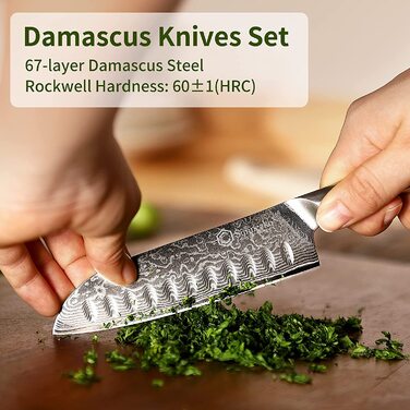 Набір ножів Sunnecko 6 предметів з блоком: кухонні ножі з дамаської сталі, ергономічні ручки, кухонні ножиці, тримач для ножів, дерев'яний блок