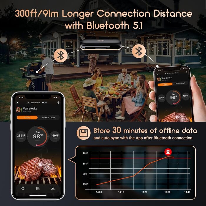 Термометр для м'яса Inkbird INT-11P-B: бездротовий, Bluetooth, IP67, для гриля, BBQ, духовки та кухні