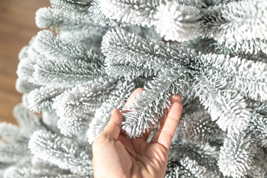 Ялинка лита 'Президентська' конусна ЗАСНІЖЕНА 2,10м