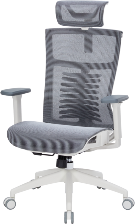 Крісло офісне OfficePro Balance OC620-W-DG-DG