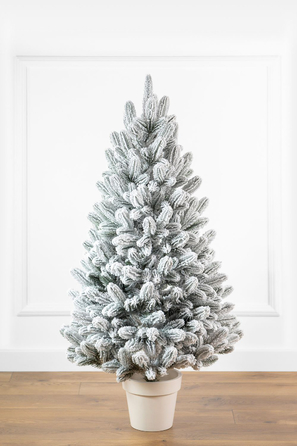 Ялинка лита 'Лапландська' в горщику ЗАСНІЖЕНА 0,70м