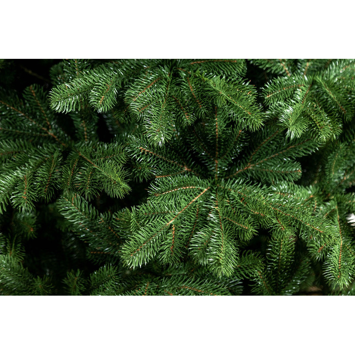 Ялинка лита 'Версальська' Зелена 1,80м