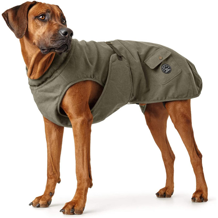 Модна собача шуба ХАНТЕР УПСАЛА, Паркер, з бавовняною підкладкою ,(кольору хакі, 35 років)