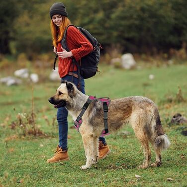Шлейка для собак Pattepoint регульована дихаюча з ручкою, з захистом від натягу, Світловідбиваюча м'яка шлейка для собак середнього і великого розміру (рожева, XL)