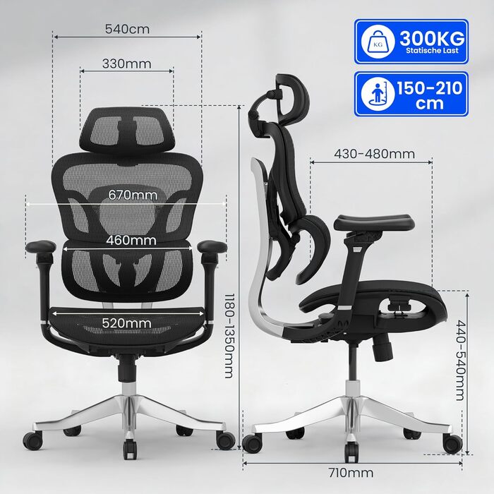 Офісний стіл ErgoX FLEXISPOT: ергономічний крісло з 3D підлокітниками, 3D-підголівником, 5D-регулюванням спинки, дихаючим сидінням, до 130 кг (Чорний)