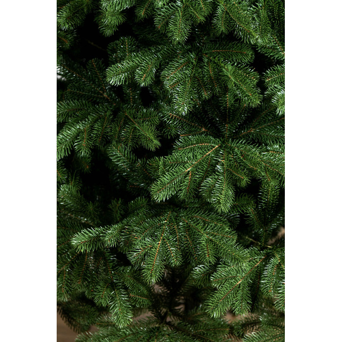Ялинка лита 'Версальська' ПАРАСОЛЬКА ЗЕЛЕНА 2,30м