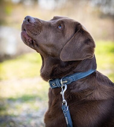 Нашийник Bella - шкіряний, бензиновий/синій, м'який - для малих та великих собак (XL 48,0-58,0 см)