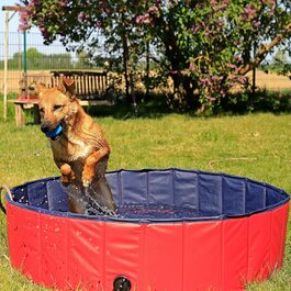 Складаний басейн для собак lionto басейн для собак Ванна для собак дитячий басейн, (м) 120 см Ø висота 30 см синій/червоний (М) 120 см Ø