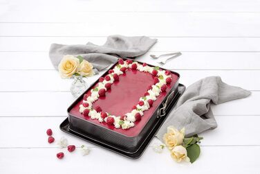 Форма для випічки Zenker прямокутна з кришкою DELUXE, коробка для транспортування тортів з емальованим дном, дека для випічки з кришкою (Чорний/Прозорий/Червоний), 1 шт.