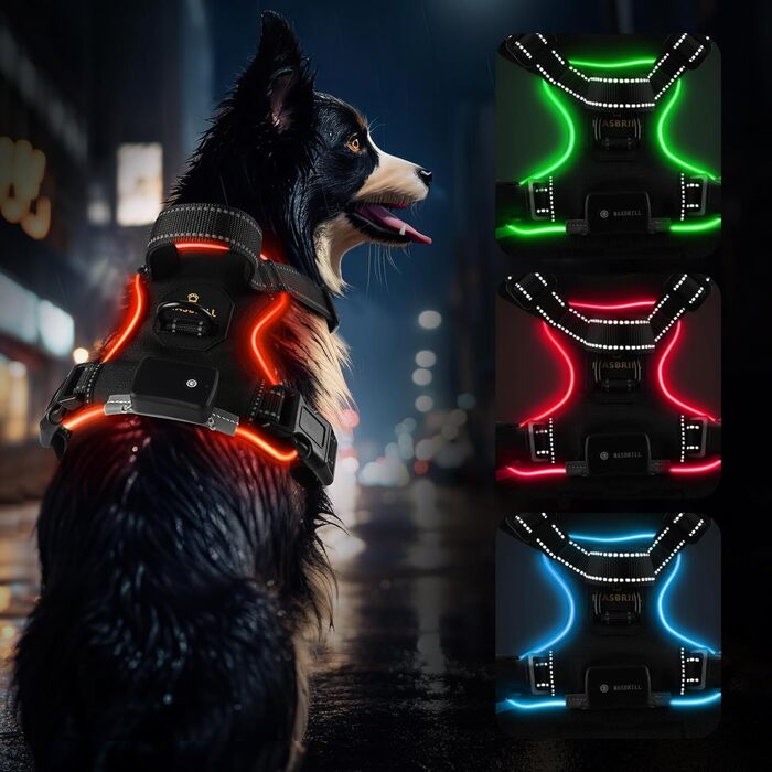 Шлейка для собак світлоповертаюча, акумуляторна, регульована, м'яка, зелена XL (M 38-58CM 60-75CM), чорно-червона